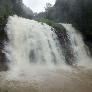 Ooty Sam Tours & Travels