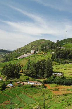 Ooty Sam Tours & Travels